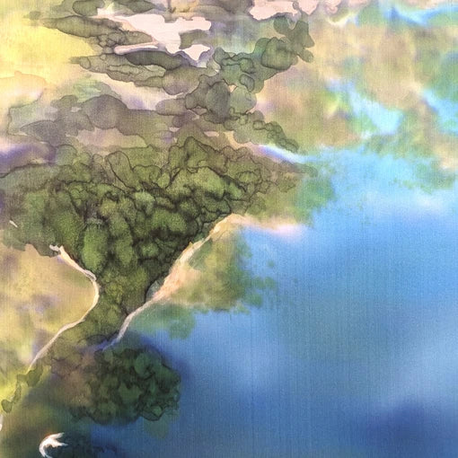 dovana silkiniu metiniu proga