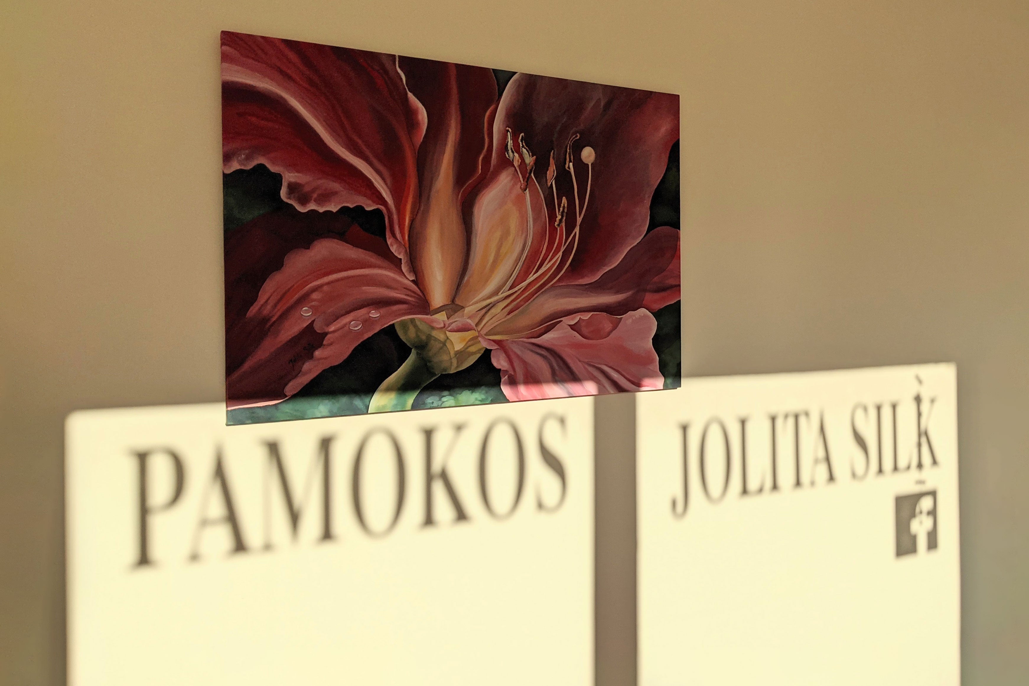 tapybos ant silko pamokos jolita silk